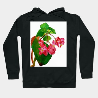 Begonia Hoodie